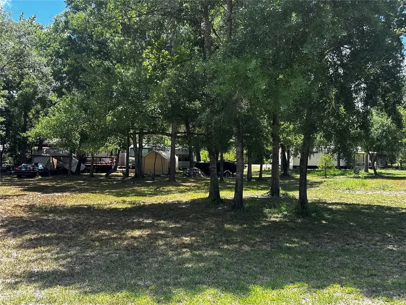 Estelle St, FL