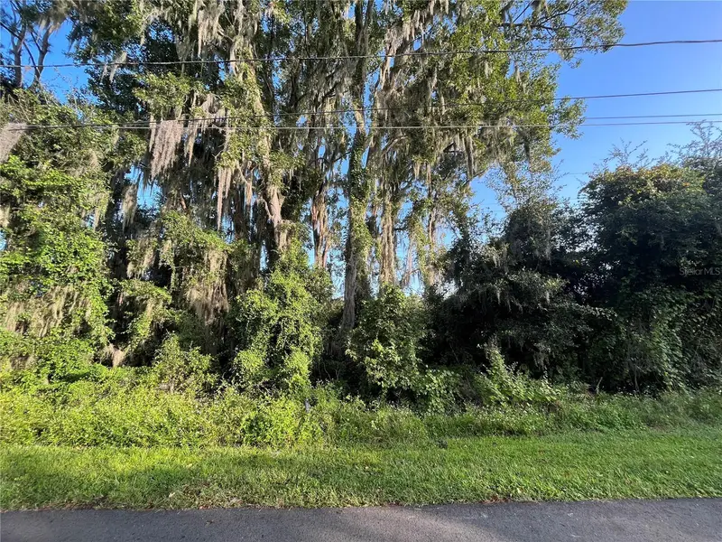 262 Toms Rd, FL