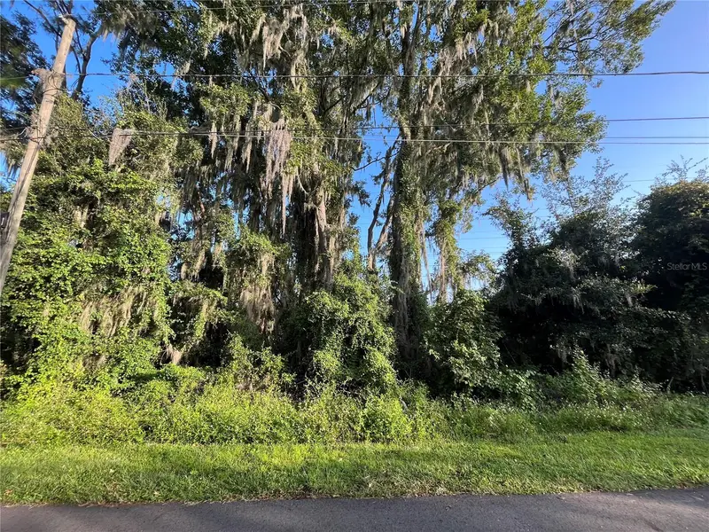 262 Toms Rd, FL