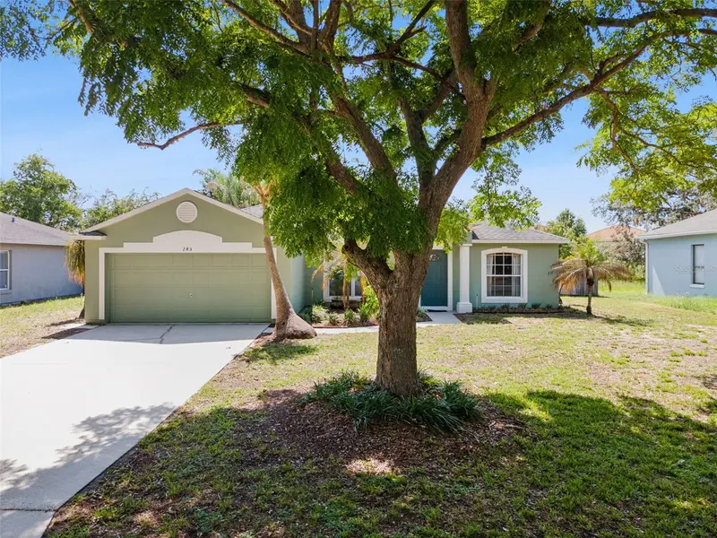 245 Foggy Creek Rd, FL