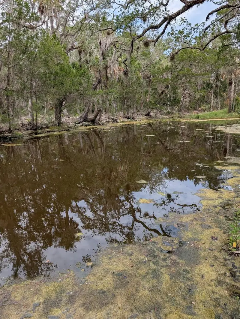 0 Se Bee Tree Rd, FL