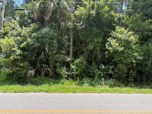 2263 Hontoon Rd, FL