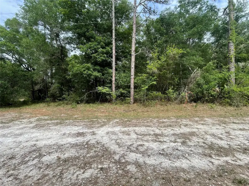16486 Curlew Rd, FL