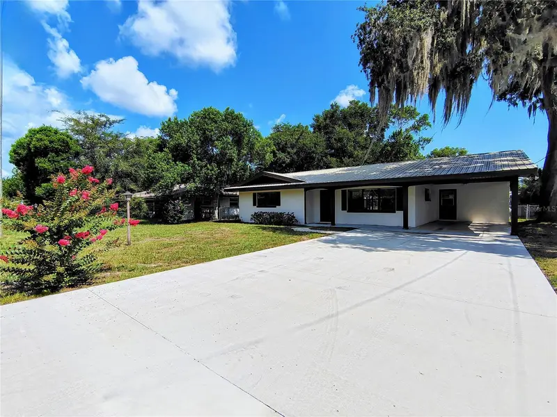 Lake Panasoffkee listing