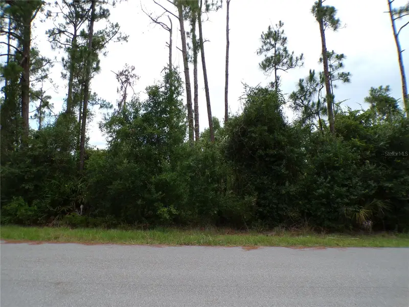 Lummus St, FL