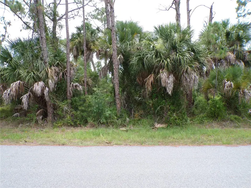Lummus St, FL
