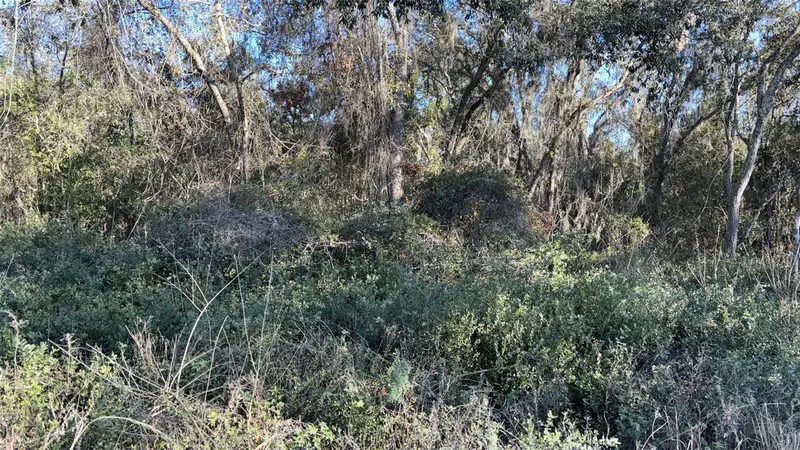 0 Bounty/Barrett, FL