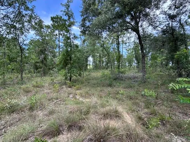 Se 16 Ln, FL