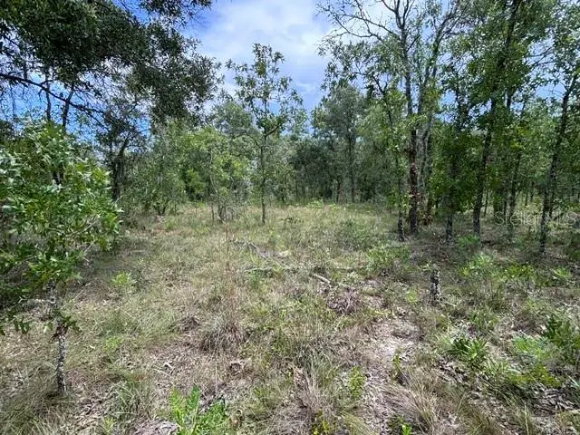 Se 16 Ln, FL