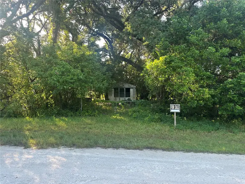 1128 N Jackson Ave S, FL