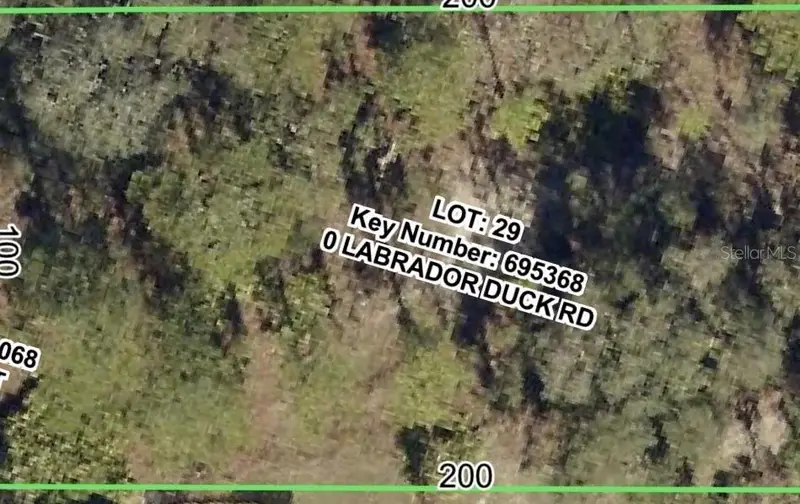 Labrador Duck Rd, FL