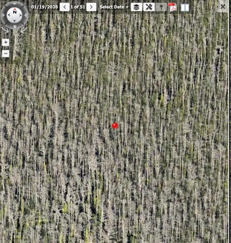 Holopaw Groves Rd #Lot 125 & 126, FL