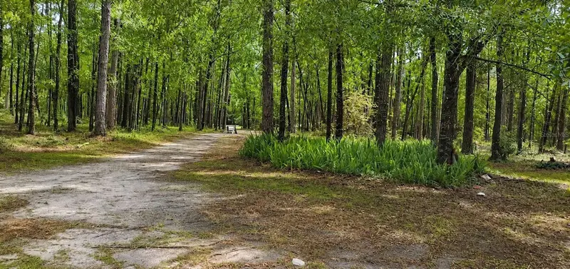 18864 N Highway 329, FL