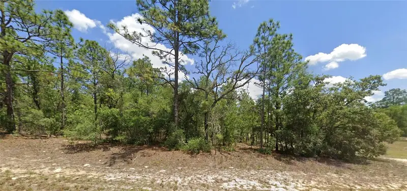 9857 N Lathyrus Ter, FL