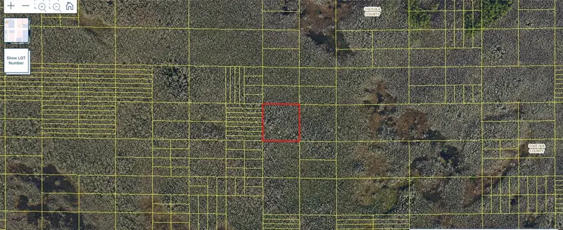 Holopaw Groves Rd, FL