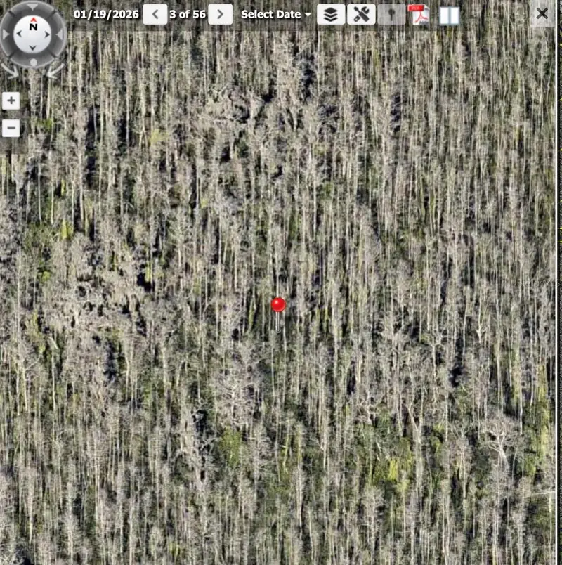 Holopaw Groves Rd, FL