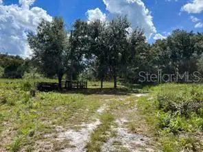 Laurel Oak Ave, FL