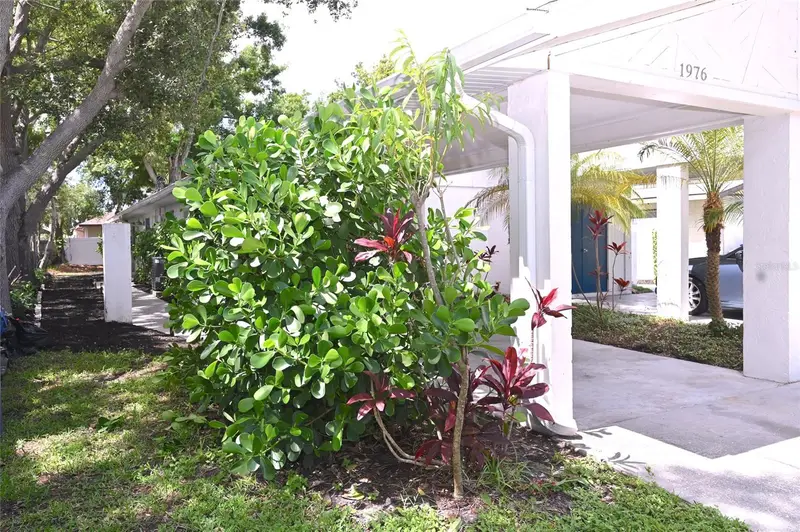 1976 Debbie St, FL