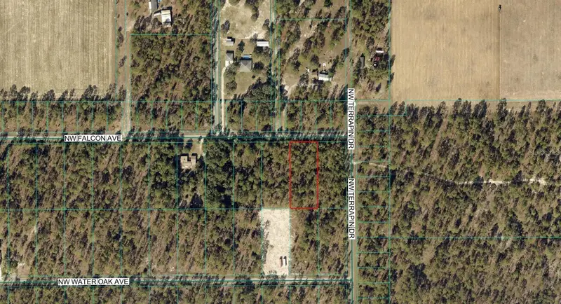 00 Nw Falcon Ave, FL
