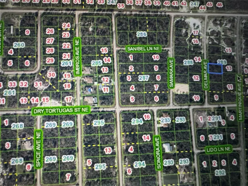110 Delmar Ave Ne, FL