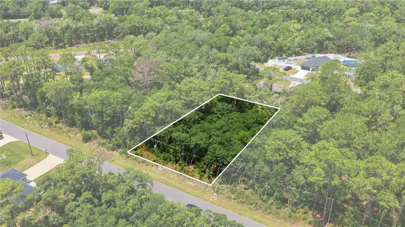 Silver Springs Shores listing