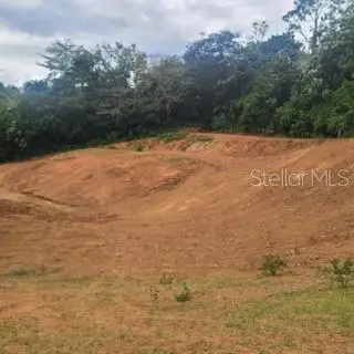 842 Caimito #4.2 Km, PR