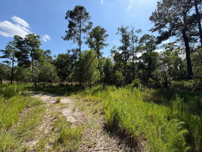 1842 Sweetwater Bnd, FL