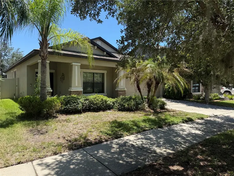11617 Palmetto Pine St, FL
