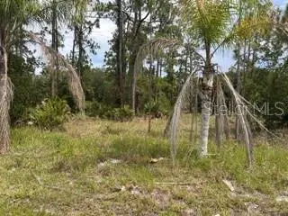 823 Pandora (Blk 217 Lot 13) Dr, FL
