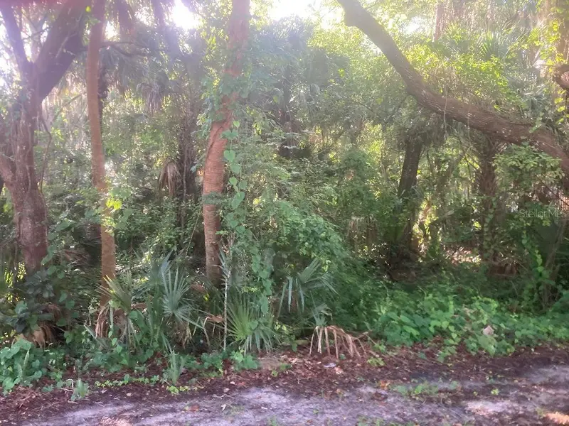0 Nancy St, FL