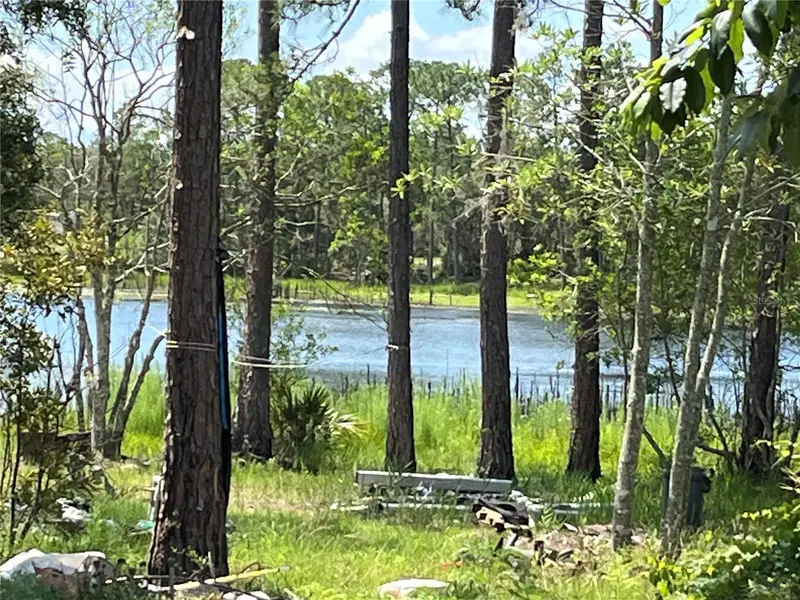 42334 W Lake Rd, FL