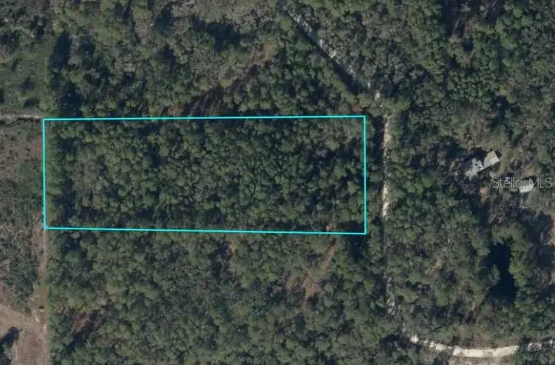 Tbd Se 91st Trl, FL