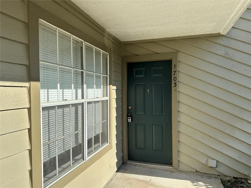 9100 Dr Martin Luther King Jr St N #1703, FL