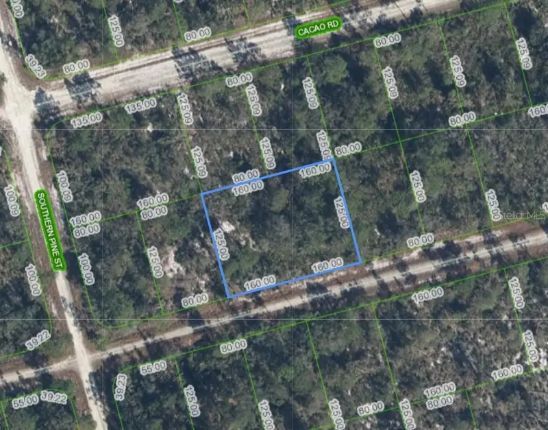 3047 Willow Ave, FL