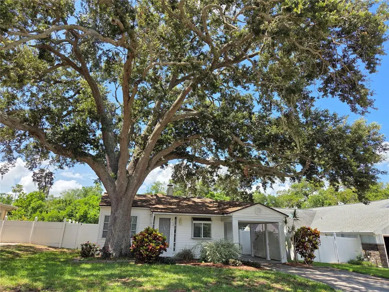 321 Wildwood Way, FL