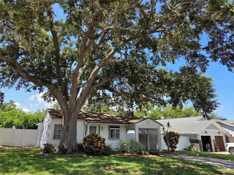 321 Wildwood Way, FL