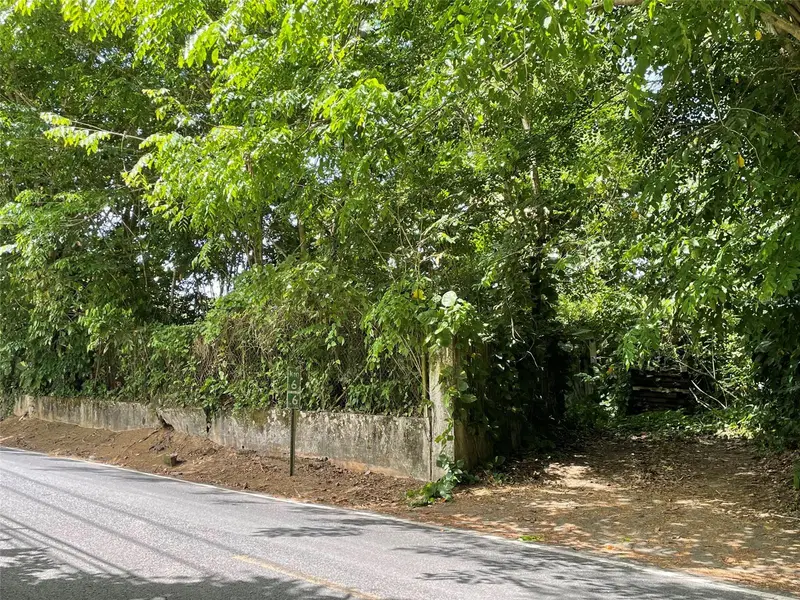 Pr 176 Km6.6 Cupey Alto, PR