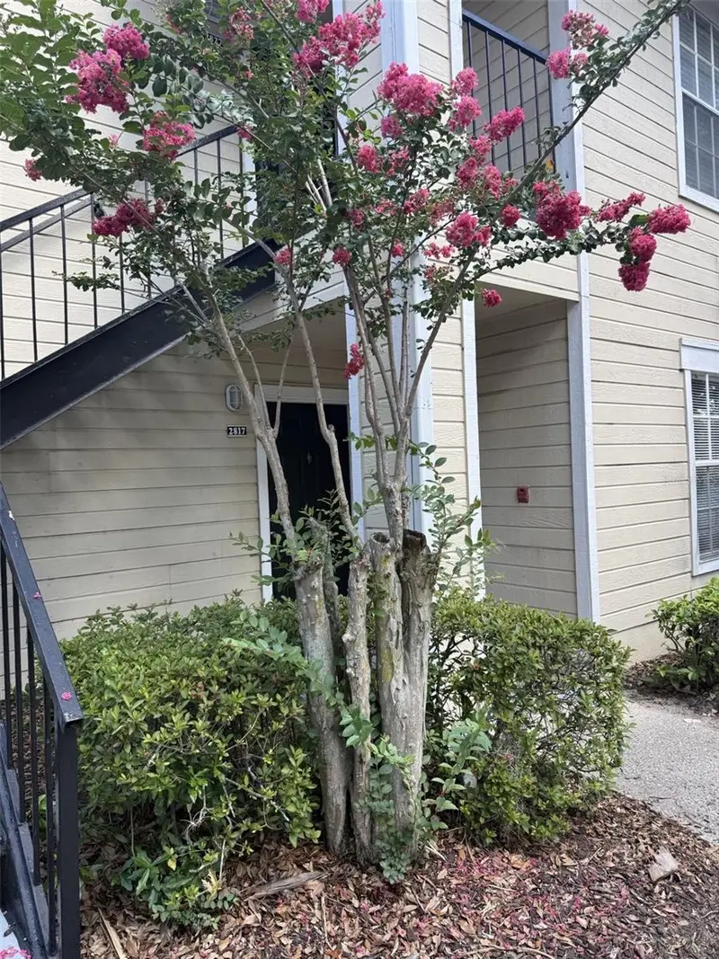 1037 S Hiawassee Rd #2817, FL