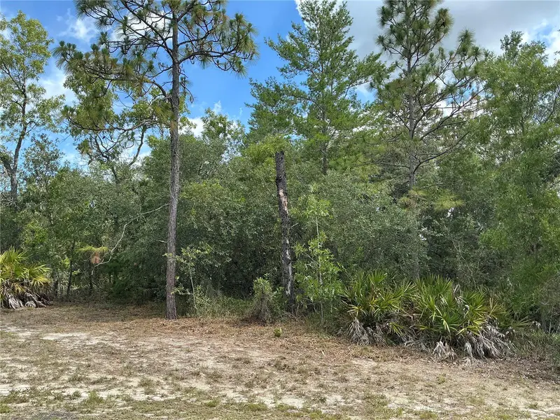 Persimmon Ave, FL