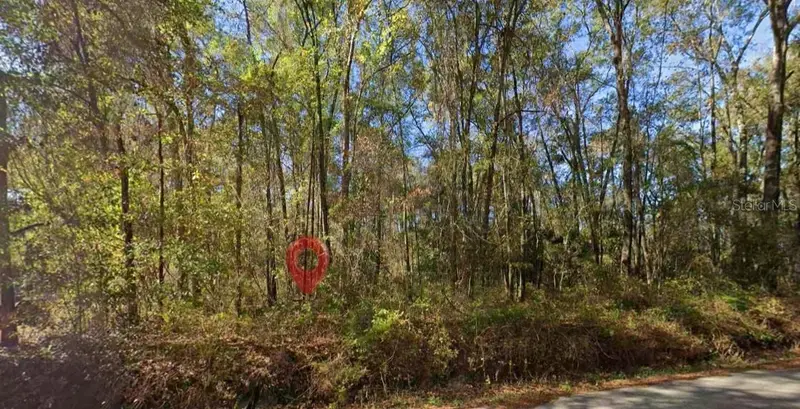 Iamonia Landing Rd, FL