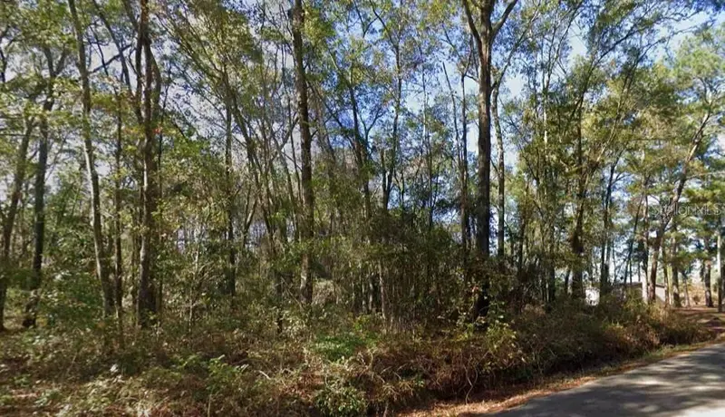 Iamonia Landing Rd, FL
