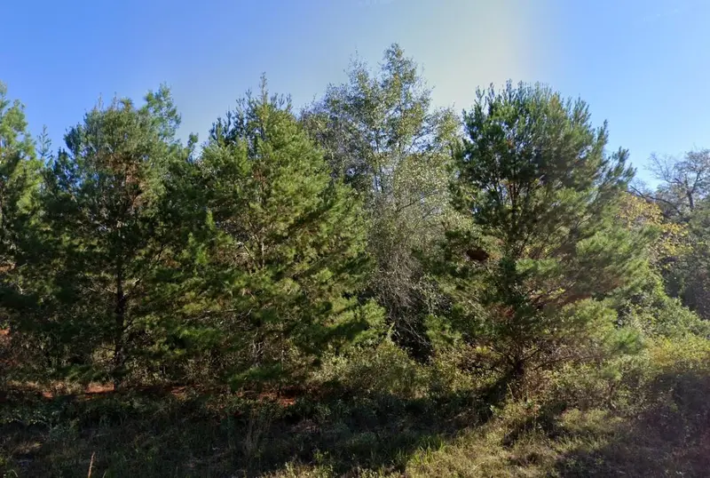Parkview Lot 13 Dr, FL