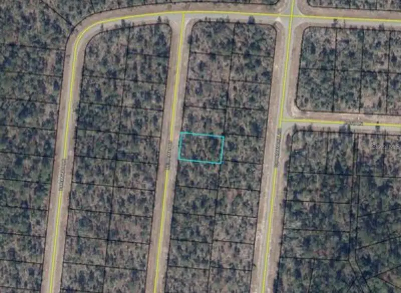 Merrimac Ave, FL