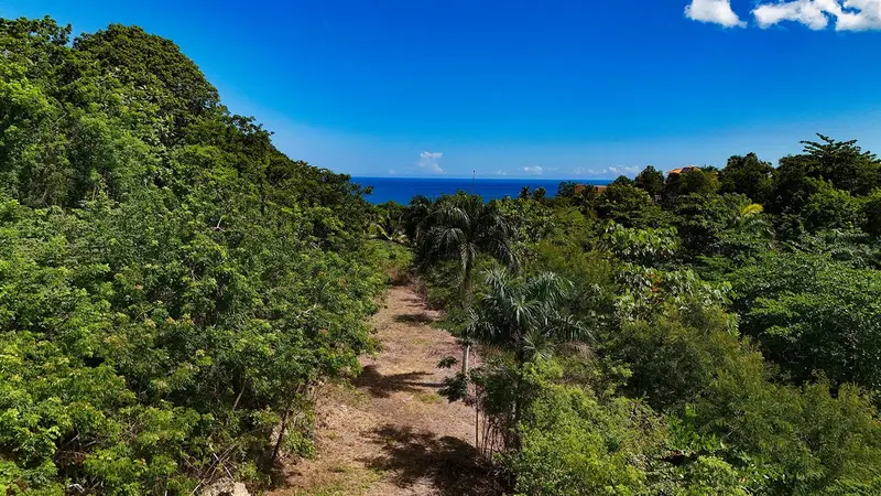 Puntas Paradise-- Calle Vista Del Mar, PR