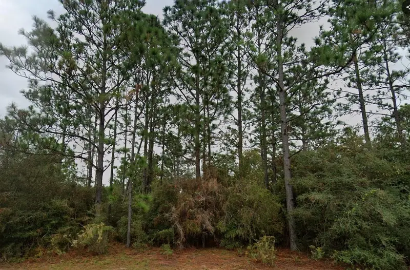 Deltona Blvd, FL