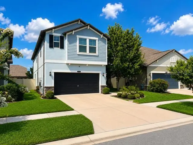 8913 Flourish Dr, FL