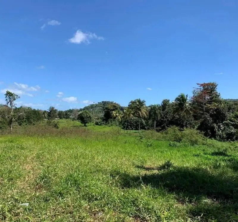Pr 6684 Buena Vista Km Hm 2.5, PR