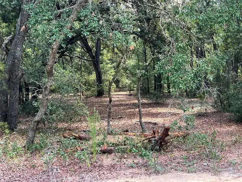 Lot 36 Blk1140 Fisher Way Trail, FL