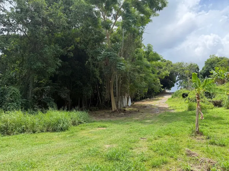 Carr 304 Barrio Jaguitas Ward, PR