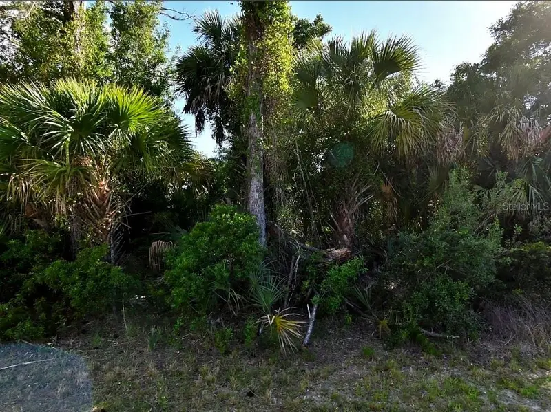 Wells Ave, FL